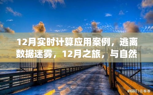 12月實(shí)時(shí)計(jì)算應(yīng)用案例，數(shù)據(jù)迷霧中的逃離之旅與自然美景的實(shí)時(shí)對(duì)話