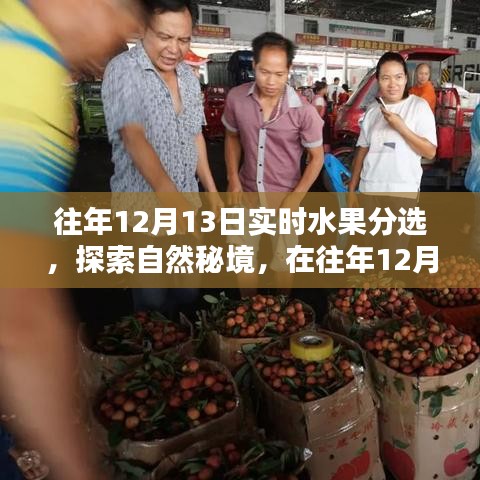 探索自然秘境，水果盛宴中的寧?kù)o與平和體驗(yàn)