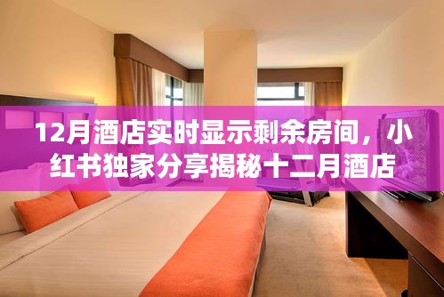 揭秘十二月酒店實時房態(tài)顯示秘籍，小紅書獨家分享，輕松預訂心儀住宿！