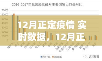 12月正定疫情實時數據深度分析與解讀