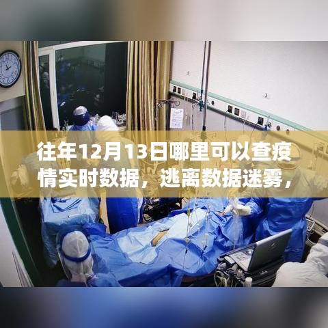 疫情之下的自然之旅，實(shí)時(shí)數(shù)據(jù)查詢(xún)與美景中的內(nèi)心平靜探尋之路