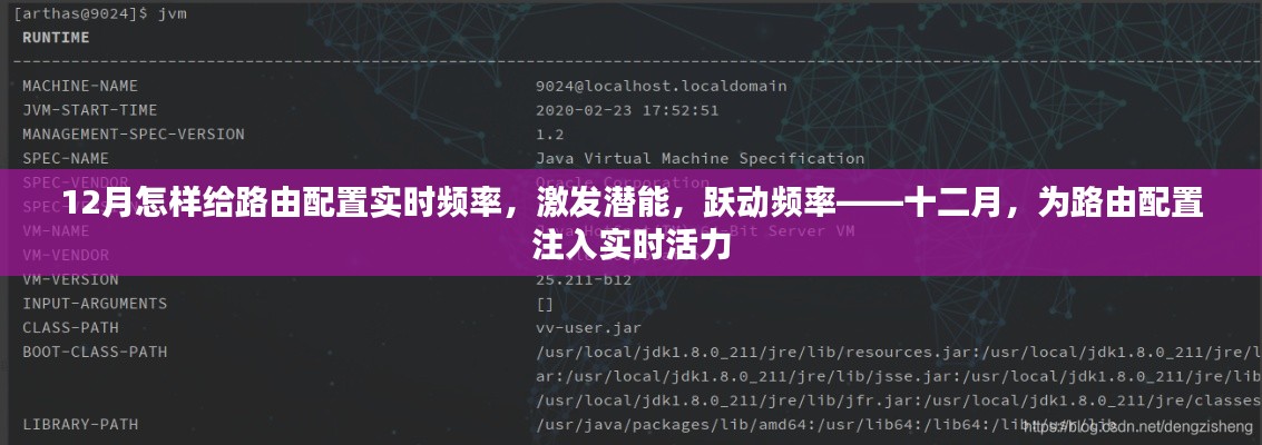 十二月路由配置實(shí)時(shí)優(yōu)化，激發(fā)潛能，躍動(dòng)頻率，注入實(shí)時(shí)活力