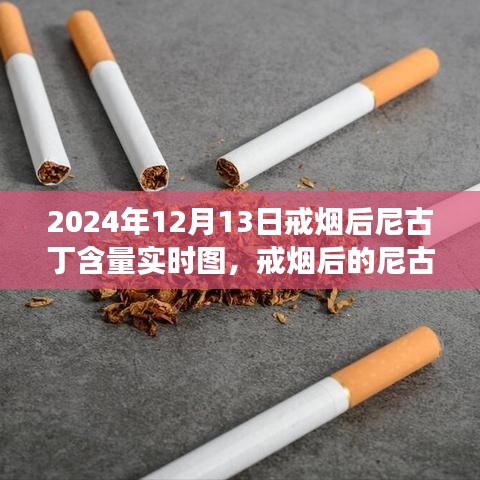 戒煙后尼古丁含量變化深度解讀，實(shí)時(shí)圖揭示戒煙過(guò)程尼古丁含量變化軌跡（圖文詳解）