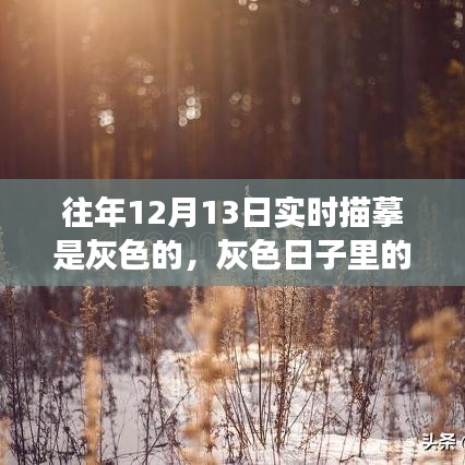灰色日子里的彩色溫情，一場(chǎng)意外的冬日奇遇紀(jì)實(shí)