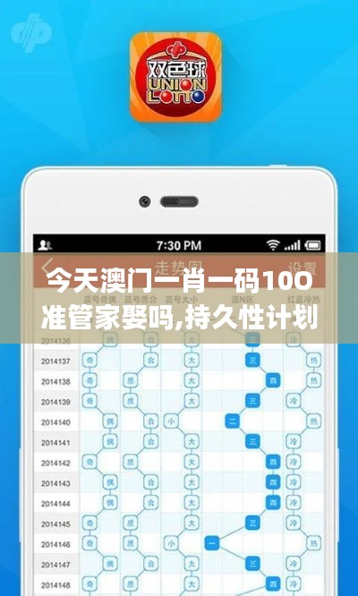 今天澳門一肖一碼10O準管家娶嗎,持久性計劃實施_Tablet7.310