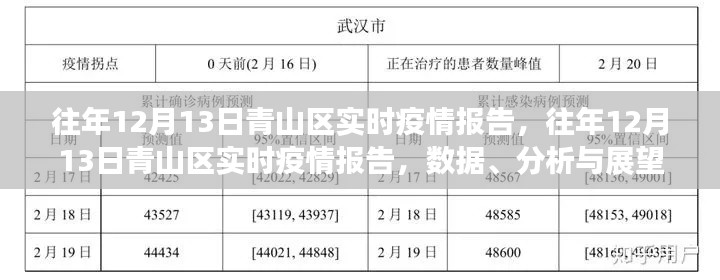 往年12月13日青山區(qū)疫情實(shí)時報告，數(shù)據(jù)、分析與未來展望