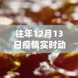 歷年12月13日疫情下的堅(jiān)守與希望，深度解析實(shí)時(shí)動(dòng)態(tài)紀(jì)錄片回顧