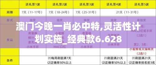 澳門今晚一肖必中特,靈活性計劃實施_經典款6.628