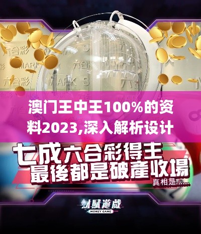 澳門王中王100%的資料2023,深入解析設計數(shù)據(jù)_VR8.530
