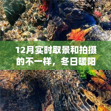 冬日暖陽魔法時刻，與朋友共度的溫馨拍攝之旅