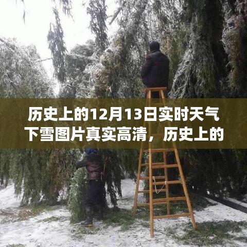 歷史上的12月13日實時下雪高清圖片，展現(xiàn)冬季雪景的迷人魅力