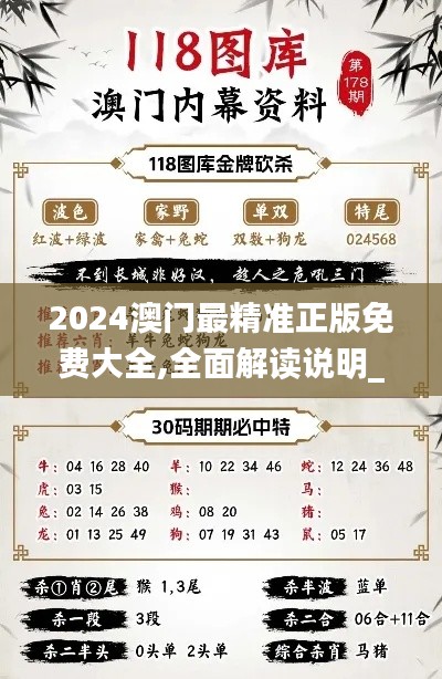 2024澳門最精準(zhǔn)正版免費大全,全面解讀說明_R版4.569