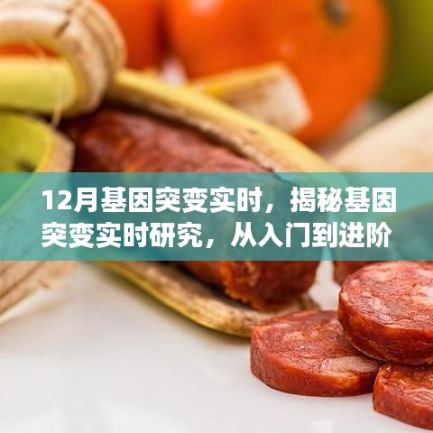 揭秘基因突變實(shí)時(shí)研究，從入門到進(jìn)階全程指南（適合初學(xué)者與進(jìn)階用戶）
