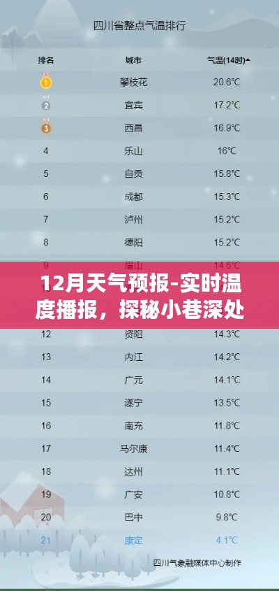 12月天氣預(yù)報(bào)下的特色小店奇遇記，實(shí)時(shí)溫度播報(bào)與小巷深處的暖意之源探索
