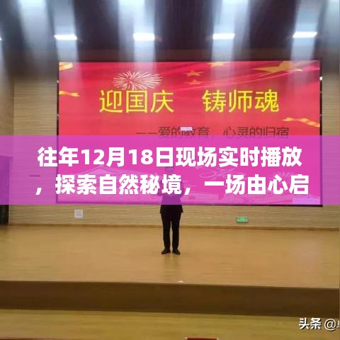 探索自然秘境，一場由心啟航的旅行盛宴，相約自然之門的盛宴