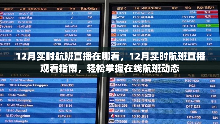 掌握在線航班動(dòng)態(tài)，12月實(shí)時(shí)航班直播觀看指南