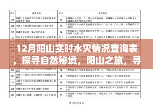 探尋自然秘境，陽山之旅遭遇水災，實時情況查詢與內(nèi)心力量的尋找