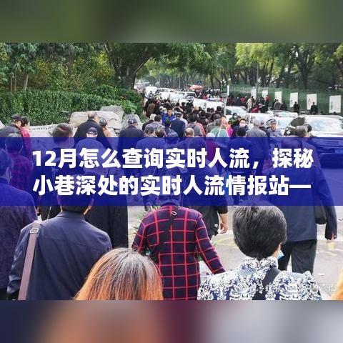 探秘隱藏式人流查詢指南，實(shí)時(shí)掌握小巷深處人流情報(bào)的秘訣