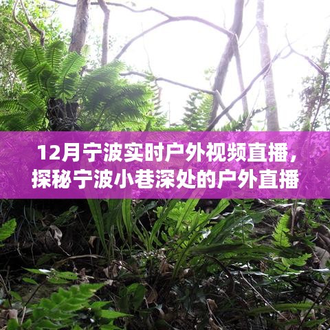12月寧波戶外直播探秘，冬日風(fēng)情直播秀，小巷深處的秘境展示