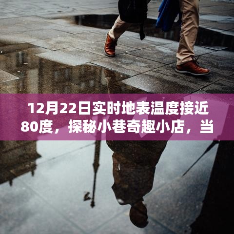 雍容典雅 第3頁(yè)