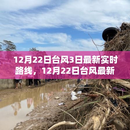 深度解析與案例分析，最新臺風實時路線動態(tài)及案例分析（截至12月22日）