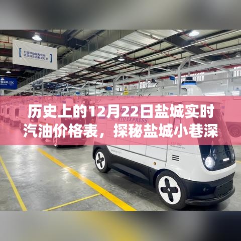 鹽城實(shí)時汽油價(jià)格歷史表，歷史與現(xiàn)實(shí)的交融之旅，探秘小巷深處的汽油價(jià)格傳奇