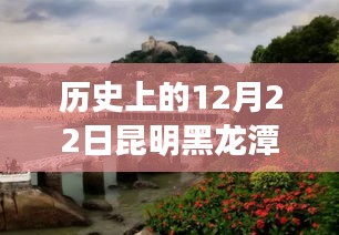 昆明黑龍?zhí)豆珗@的智慧與勇氣，實時監(jiān)控下的學(xué)習(xí)與夢想成就日