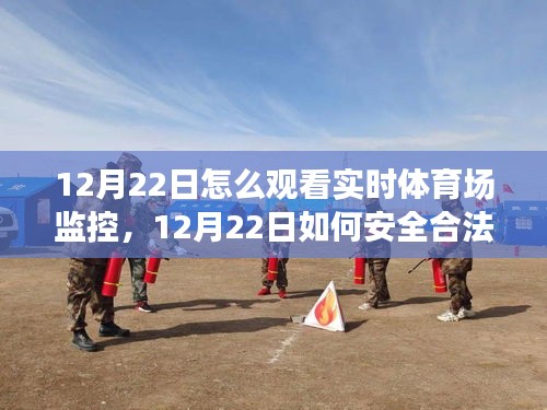 揭秘，如何安全合法地觀看實時體育場監(jiān)控？一篇文章全解析！