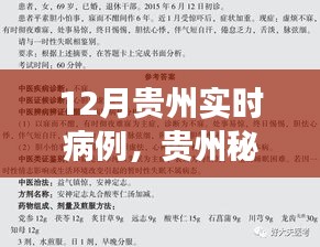 貴州秘境探秘，自然療愈與尋找內(nèi)心寧靜之旅——實時病例追蹤報道