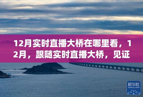 見證力量，12月實(shí)時(shí)直播大橋，自信成就之光展現(xiàn)變化力量