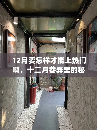十二月巷弄探秘，特色小店點(diǎn)燃熱門探索之旅