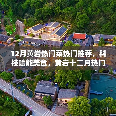 科技賦能美食，黃巖十二月熱門菜的高科技魅力與獨(dú)特體驗(yàn)推薦