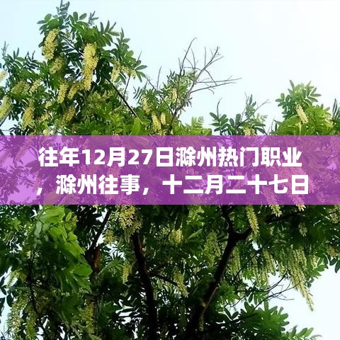 滁州十二月二十七日職業(yè)風采變遷回顧，歷史影響與今日熱門職業(yè)解析