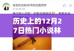 歷史上的12月27日，林天宇與寧麗霞的熱門小說之旅
