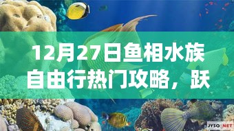 12月27日魚相水族心靈之旅，深藍海洋自由行攻略