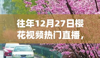 探秘櫻花盛開之夜的巷弄秘境，特色小店直播之旅回顧往年櫻花視頻直播盛況