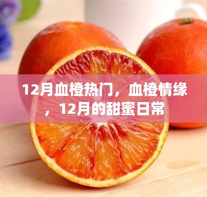 12月血橙情緣，甜蜜日常的浪漫篇章