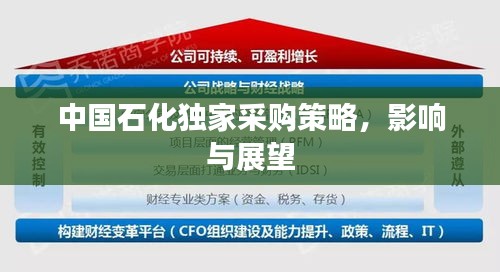 中國石化獨家采購策略，影響與展望