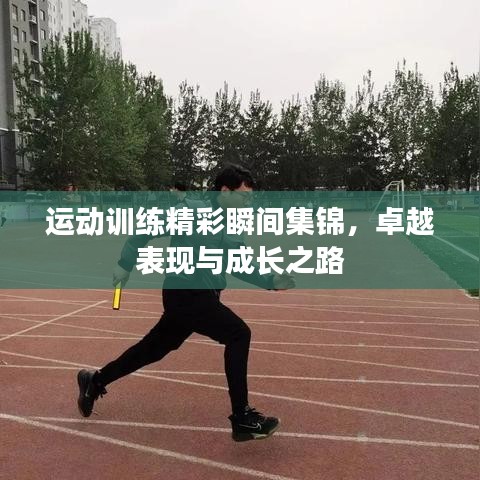 運(yùn)動(dòng)訓(xùn)練精彩瞬間集錦，卓越表現(xiàn)與成長之路