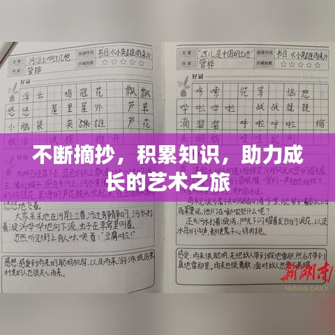 不斷摘抄，積累知識，助力成長的藝術(shù)之旅