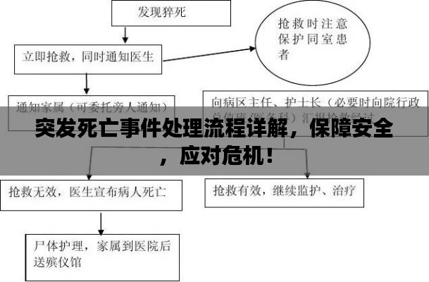 突發(fā)死亡事件處理流程詳解，保障安全，應(yīng)對(duì)危機(jī)！