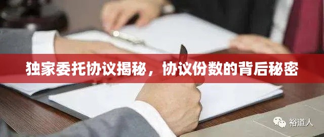 獨(dú)家委托協(xié)議揭秘，協(xié)議份數(shù)的背后秘密