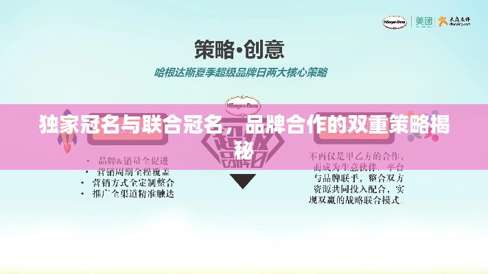 獨(dú)家冠名與聯(lián)合冠名，品牌合作的雙重策略揭秘