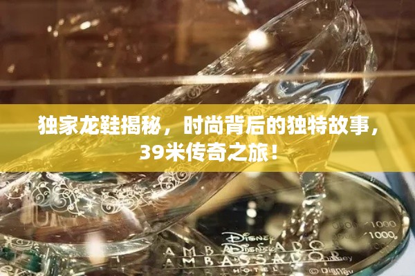 獨(dú)家龍鞋揭秘，時(shí)尚背后的獨(dú)特故事，39米傳奇之旅！