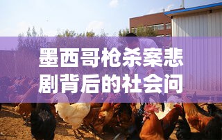 2025年1月1日 第6頁(yè)