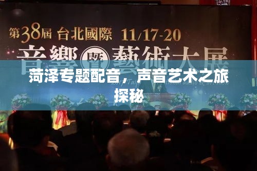 菏澤專題配音，聲音藝術(shù)之旅探秘