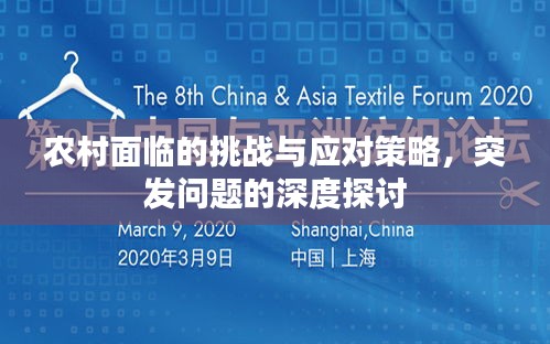 農村面臨的挑戰(zhàn)與應對策略，突發(fā)問題的深度探討