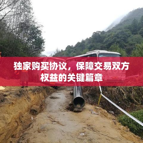 獨家購買協(xié)議，保障交易雙方權益的關鍵篇章