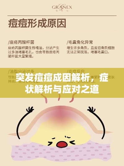 突發(fā)痘痘成因解析，癥狀解析與應(yīng)對之道