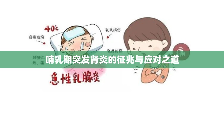 哺乳期突發(fā)腎炎的征兆與應(yīng)對(duì)之道